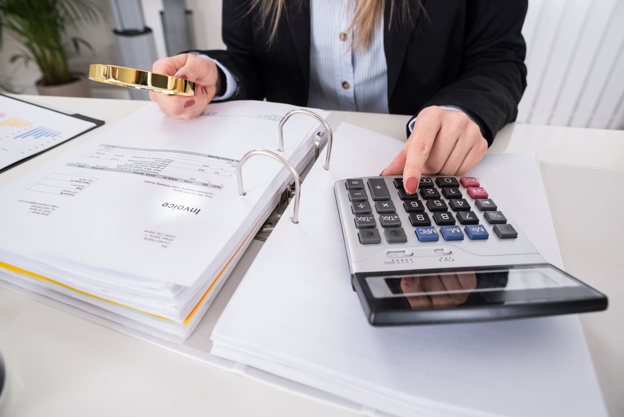 Due Diligence, Legal and Employment Audit